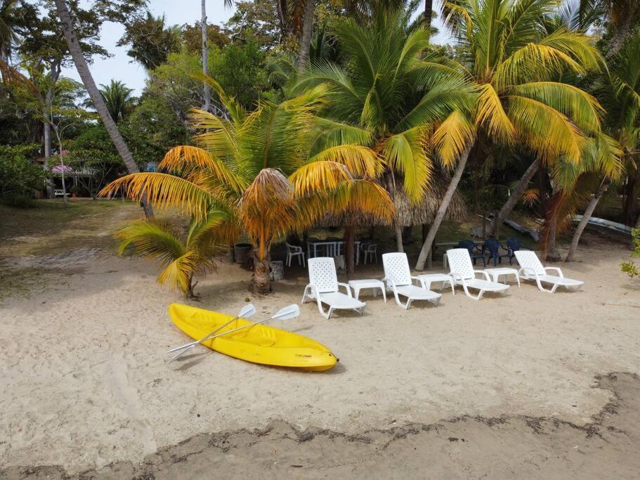 Casita Caribe En Reserva Natural, Playa Privada, Kayaks, Wifi, Aire Acondicionado San Onofre ภายนอก รูปภาพ